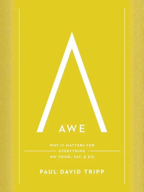 3 IMG 0945 0501 Awe