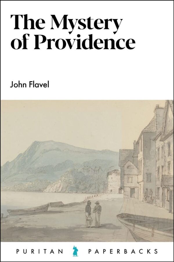 61j0vsZaoXL._SL1200_ The Mystery of Providence