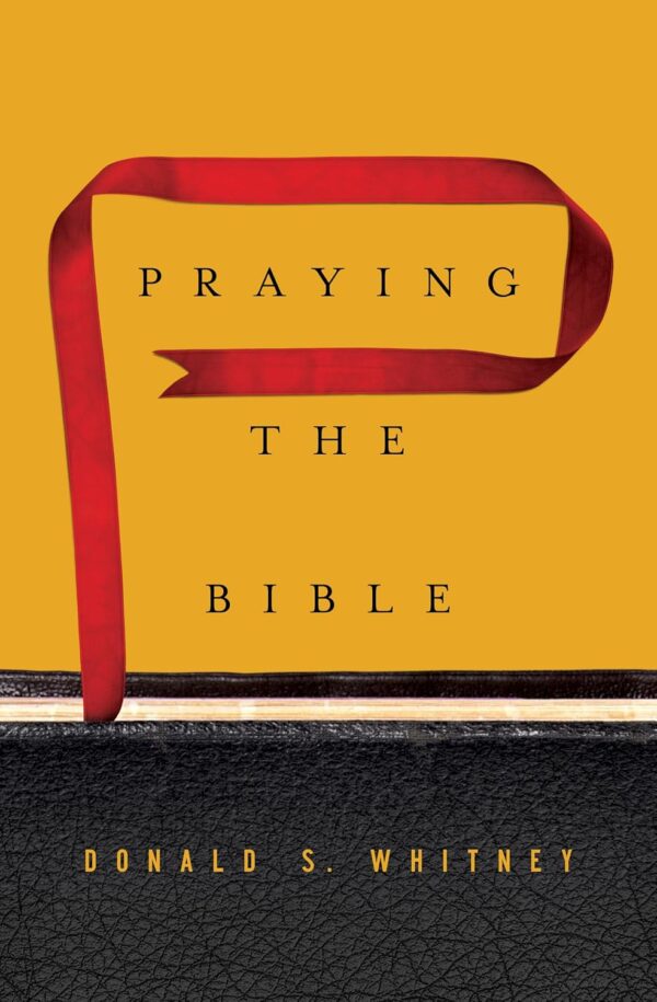 710A7ZFVVxL._SL1500_ Praying the Bible
